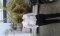 MY PIX