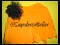N5000 shop at www.facebook.com/sayederoboutique