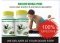 MASCUM HERBAL PRIDE