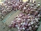 Onions na gold 4 naija nw