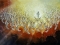 HEAVEN IS REAL, ANGELS ARE SINGING YOUR WORTHY O' LORD