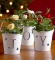 joyismine