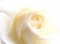 temmanuelbohembe@yahoo.com