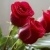 For U .....