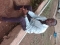 just me