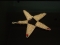 I'm a star!