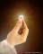 If your faith can be as small as this!