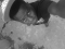 is your boy