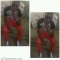 Look at me now how
