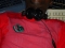 Me, Myself and Music