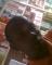 efe