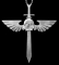 The sword of Salvation