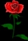 chinedu