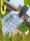 chilling tinz