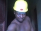 Engineer 4face