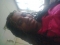 honey