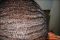 LOOK AT DA WAVES SPINNIN MAKES YA DIZZY!