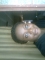 Stainless