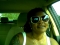 Cruzzn