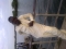 fresh boy