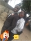 we the best