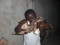 come join me, africa antilop