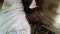 muchmonie re_loaded