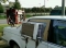 my cars