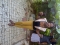 a lot of tinz