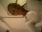 evershine