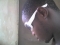 miiiiiiiiiiiiiiiiiii