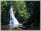 nice picture