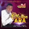 olorun ara by Ara Jesu Gospel of the Lord Singers (single)