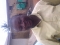 Arc Bolawale
