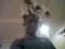lumzee