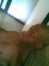 aras