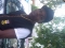 DKICINO d PLAYBOI.