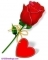 LUV