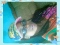 Sheamax