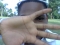 Too shy