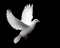 SOAR