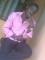 c me