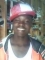 pictures