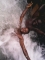 Kris p  shares a picture of himself having fun with his friends in a village stream!