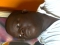 Man of God