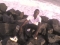 Out nd aboat