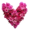 my pixs