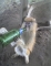 wat da hell...........