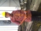 Djoe @ PHCN