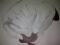 unfinished work